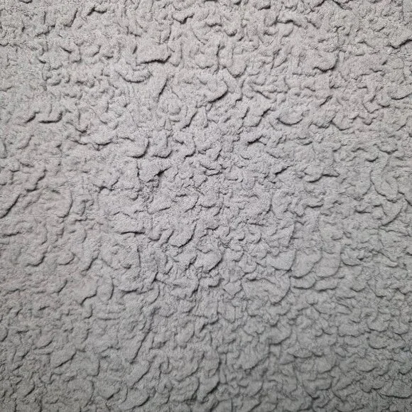 NWT Free People What A Time Drop-Waist Mini Dress L - Picture 4 of 12